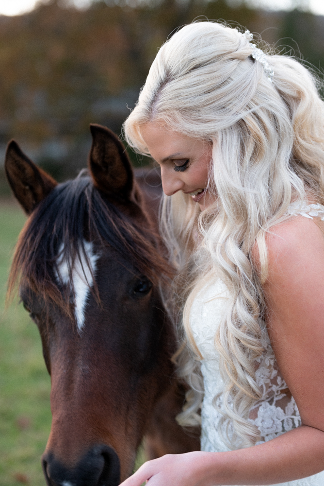The bride gives the horse a handful of hay as a little snack